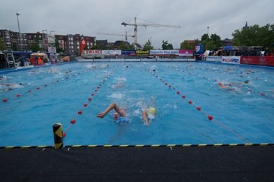 bild560.jpg